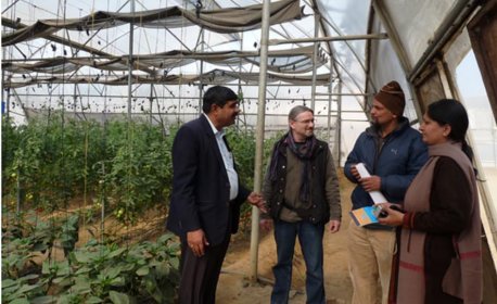Polytunnel discussion